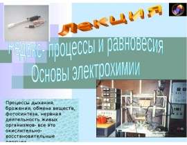Процессы дыхания, брожения, обмена веществ, фотосинтеза, нервная деятельность
