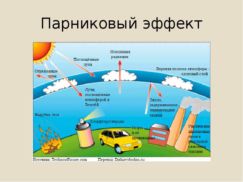 Глобальные изменения в биосфере вызванные деятельностью человека схема