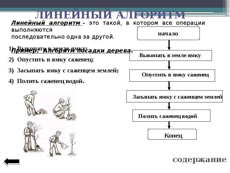 Понятие алгоритма 8 класс. Алгоритмизация 8 класс.