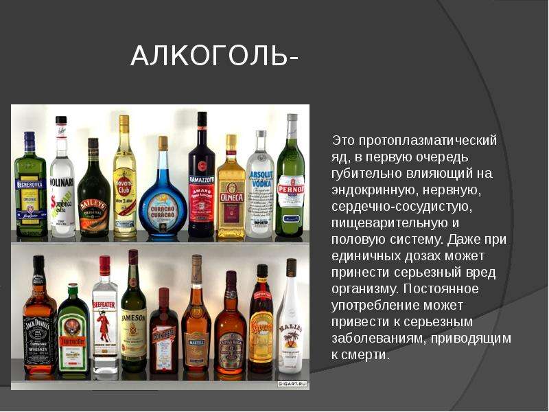 Алкоголь в жизни человека проект