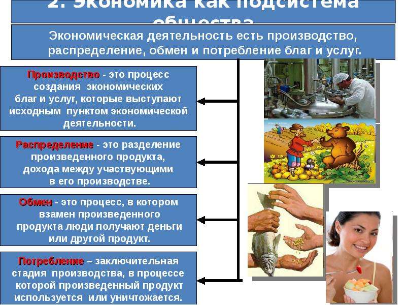 Обмен экономических благ. Экономика как подсистема общества. Экономическая под стстема общества. Экономика производство распределение обмен потребление. Экономическая подсистема общества примеры.