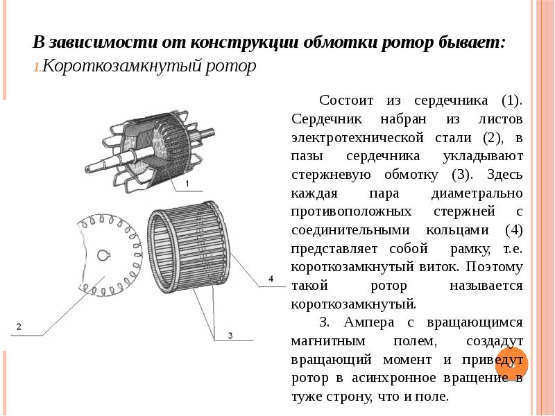 В зависимости от конструкции обмотки ротор бывает: В зависимости от конструкции обмотки ротор бывает