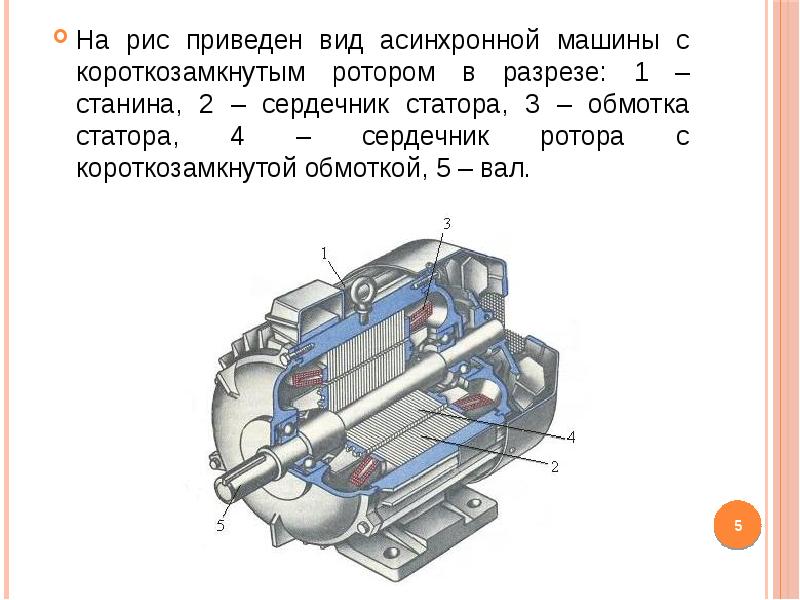 На рис приведен вид асинхронной машины с короткозамкнутым ротором в разрезе: 1 – станина, 2 – сердеч