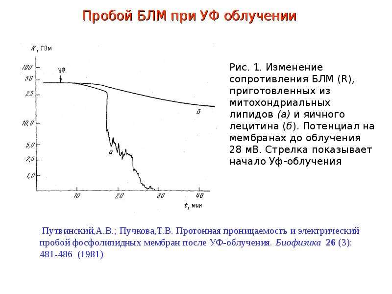 По замедленной схеме при ультрафиолетовом облучении начинают облучать