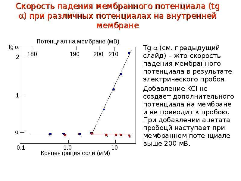 Максимальная скорость падения. Пробой мембран собственным мембранным потенциалом. Скорость падения. Электрический пробой клетки. Электрический пробой мембраны клетки.