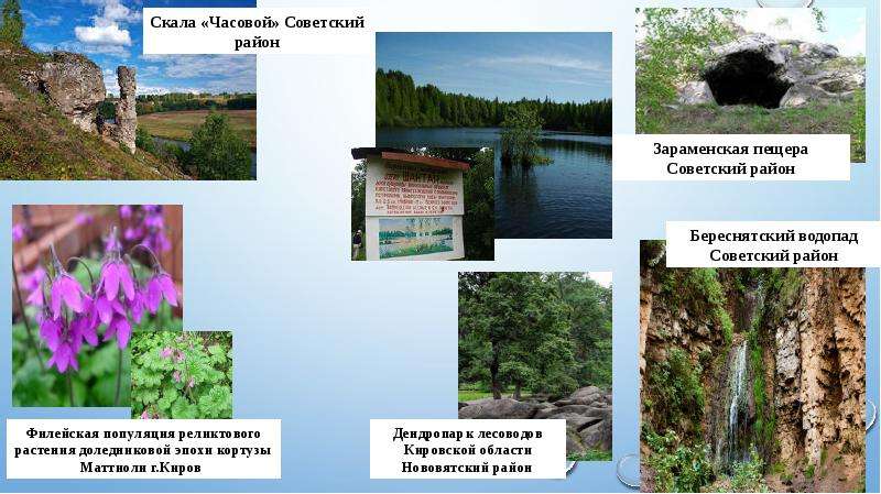 Охраняемые территории кировской области презентация
