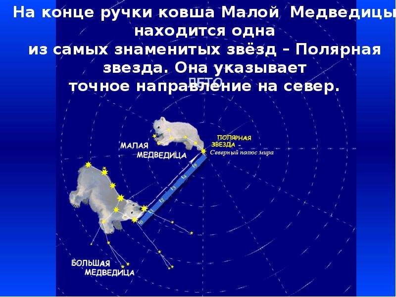 Сказка о медведице и полярной звезде придумать. Сказка о Созвездие малой медведицы и полярной звезде. Созвездие малая Медведица и Полярная звезда 2 класс. Сказка о созвездии малой медведицы и полярной звезде второй класс. Рассказ о созвездии малой медведицы.