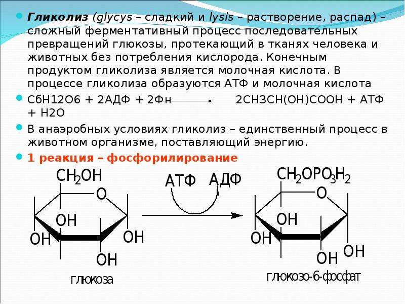 Превращение глюкозы в молочную кислоту