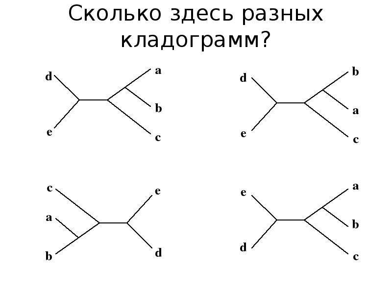 Сколько здесь предложений. Сколько здесь слов.