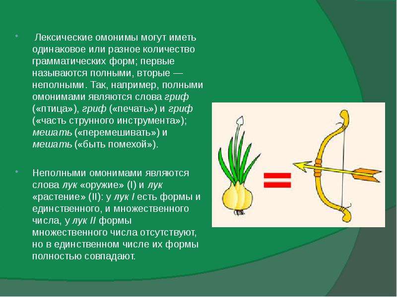 Синоним к слову омоним. Нелексические омонимы. Омонимы лексические омонимы. Нелексмческме омонимы. Лук омонимы.