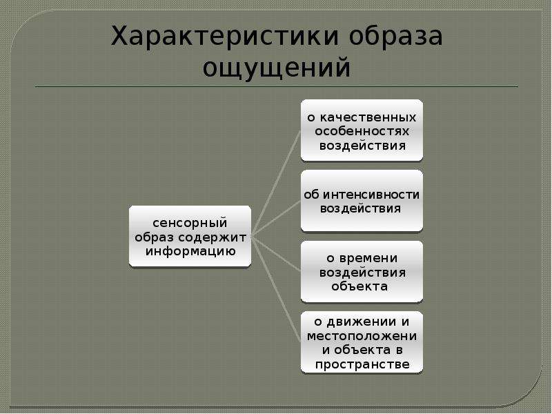 Образ ощущения. Образ ощущения это. Основные характеристики имиджа. Презентация на тему Познавательные процессы. Характеристика образа.