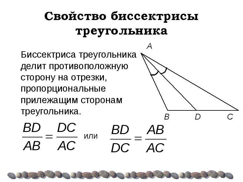 Сформулируйте и докажите свойство биссектрисы угла. Биссектриса треугольника делит противоположную. Свойство биссектрисы треугольника треугольника. Свойство биссектрисы угла треугольника. Свойство биссектрисы угла отношение сторон.
