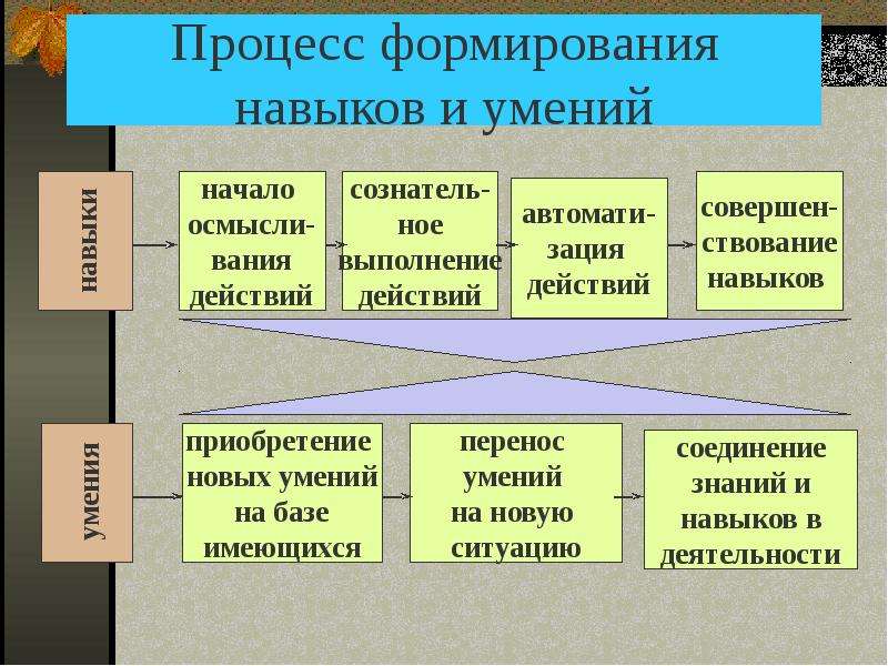 Суть процесса развития. Процесс формирования умений и навыков. Процесс формирования специалиста. Процесс становления специалиста.