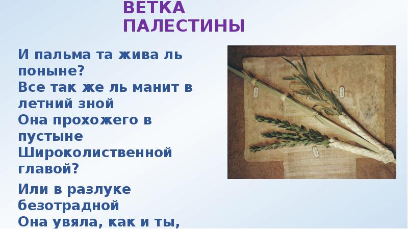 Стихотворение лермонтова ветка палестины