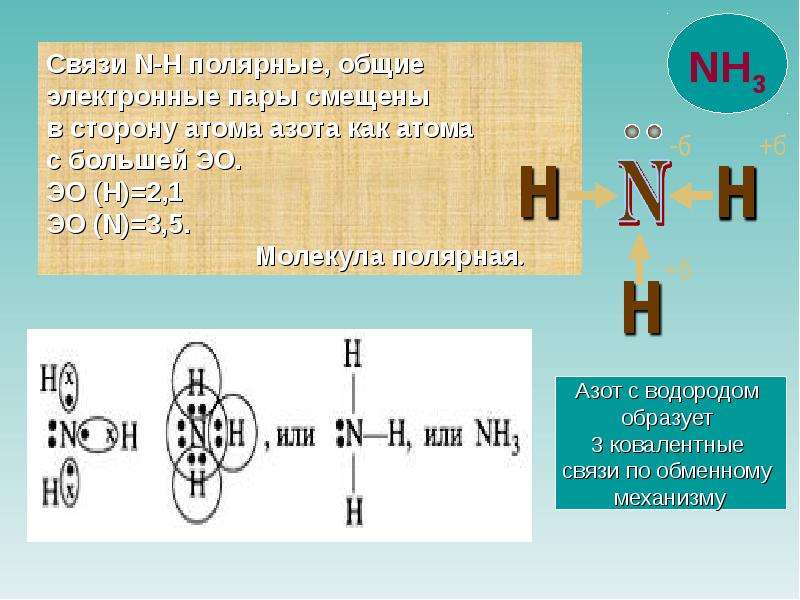 Соединения атомов азота и водорода. Электронная формула аммиака nh3. Общие электронные пары азота. Общие электронные пары в молекуле азота. Схема образования молекулы азота.