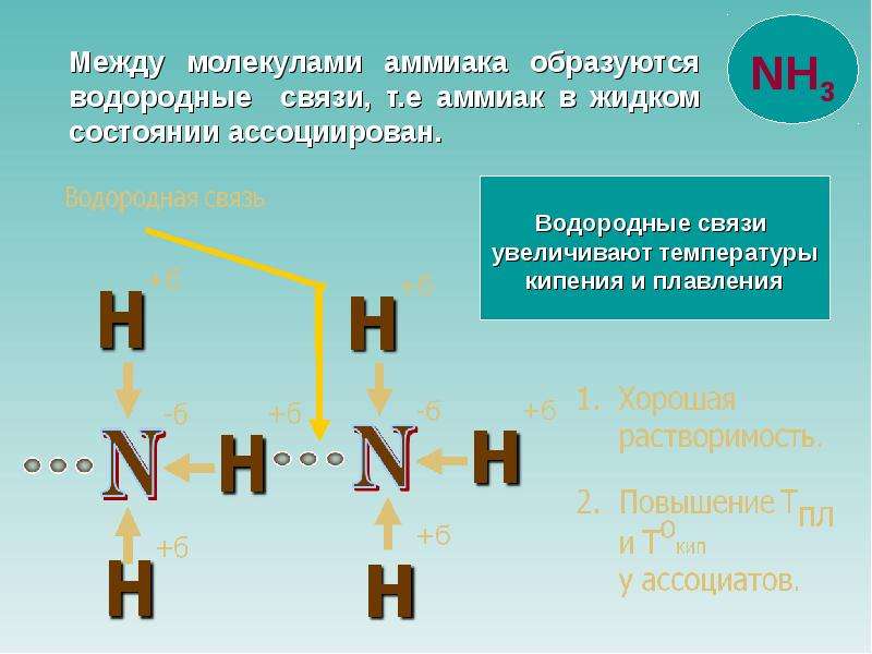 Молекула аммиака nh3. Nh3 водородная связь. Nh3 водородная связь схема. Водородная связь аммиака. Аммиак образует водородные связи.