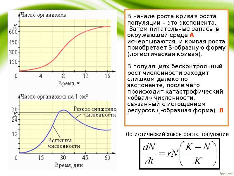 Типы роста численности. J образная кривая роста популяции. График Кривой роста численности популяции рыб. S образная кривая роста популяции. Экспоненциальная кривая роста популяции.