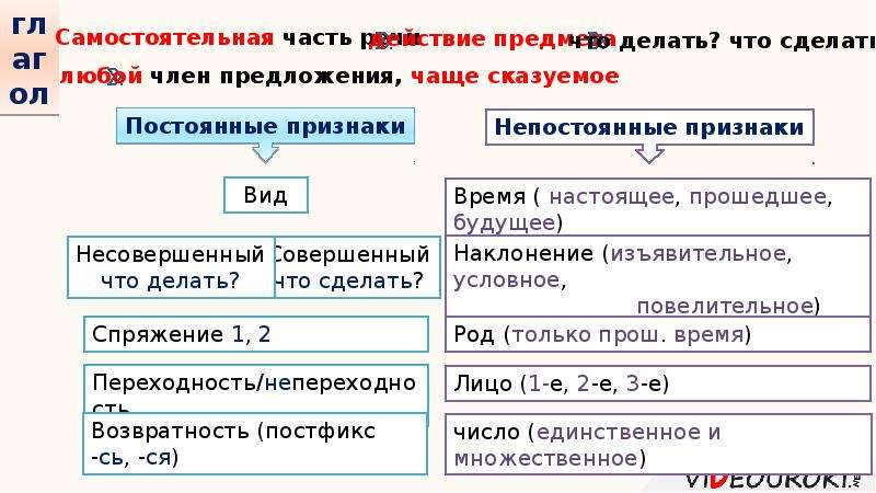 Морфология презентация 10 класс