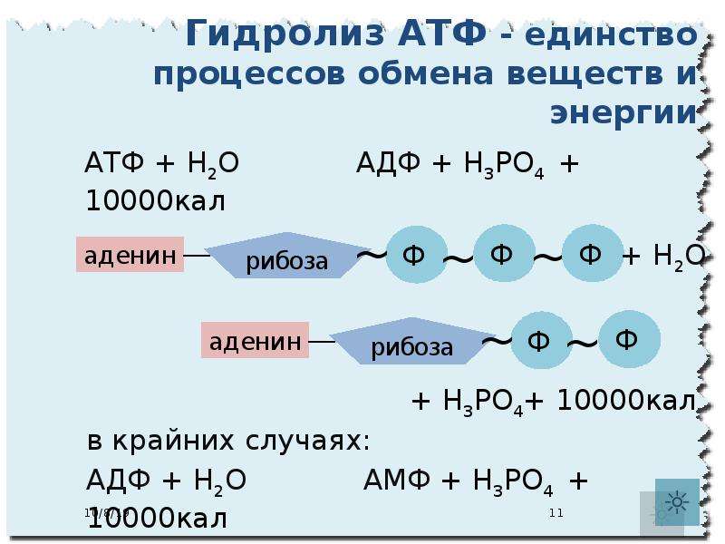 Гидролиз органических и неорганических соединений 11 класс презентация