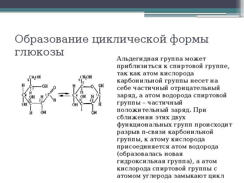 Образование глюкозы. Глюкоза циклическая и Ациклическая форма. Образование циклической формы Глюкозы. Циклические а и в формы Глюкозы отличаются. Схема образования циклической формы Глюкозы.