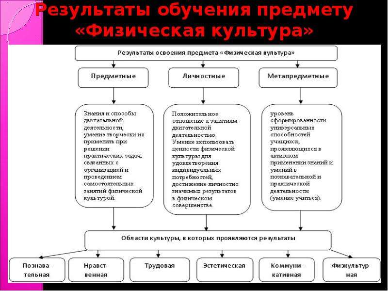 Опыт культуры