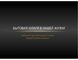 Бытовая химия в нашей жизни