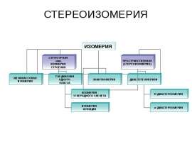 Стереоизомерия. Изомерия. Пространственная (стереоизомерия) углеродного скелета