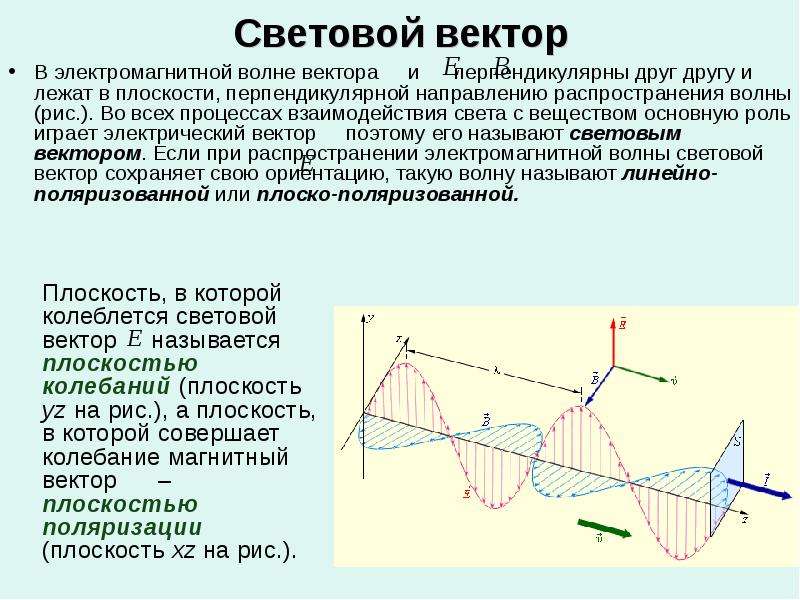 Электромагнитная волна распространяется в направлении. Световой вектор. Волновой вектор электромагнитной волны. Направление электромагнитной волны. Плоскость поляризации.