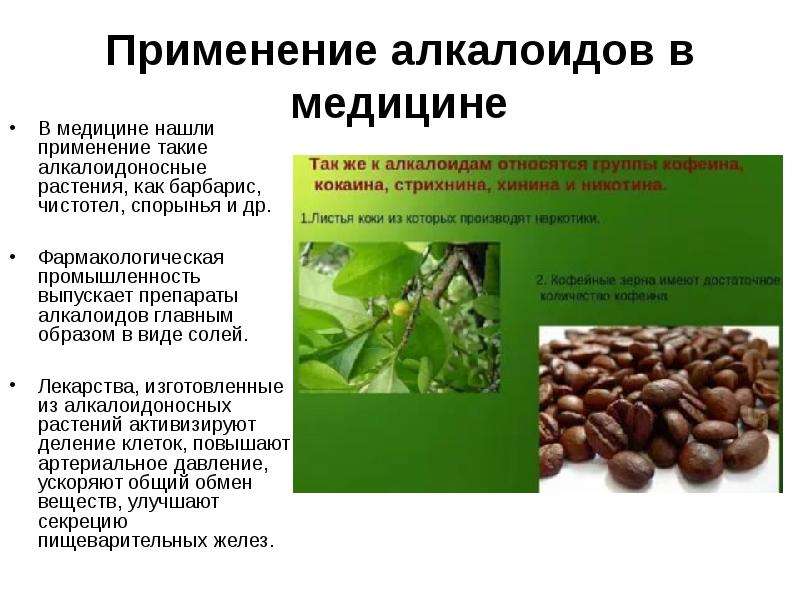 10 применений. Алкалоиды спорыньи препараты. Биологические активные вещества лекарственных растений. Биологически активные вещества алкалоиды. Препарат алкалоидов спорыньи в таблетках.