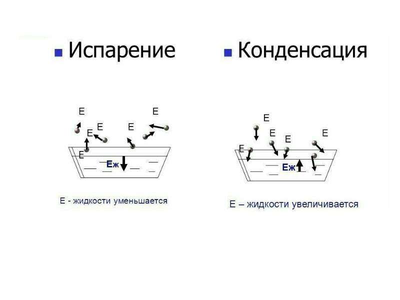 Конденсация рисунок физика