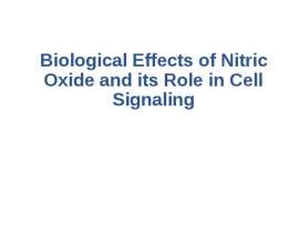 Biological effects of nitric oxide and its role in cell signaling