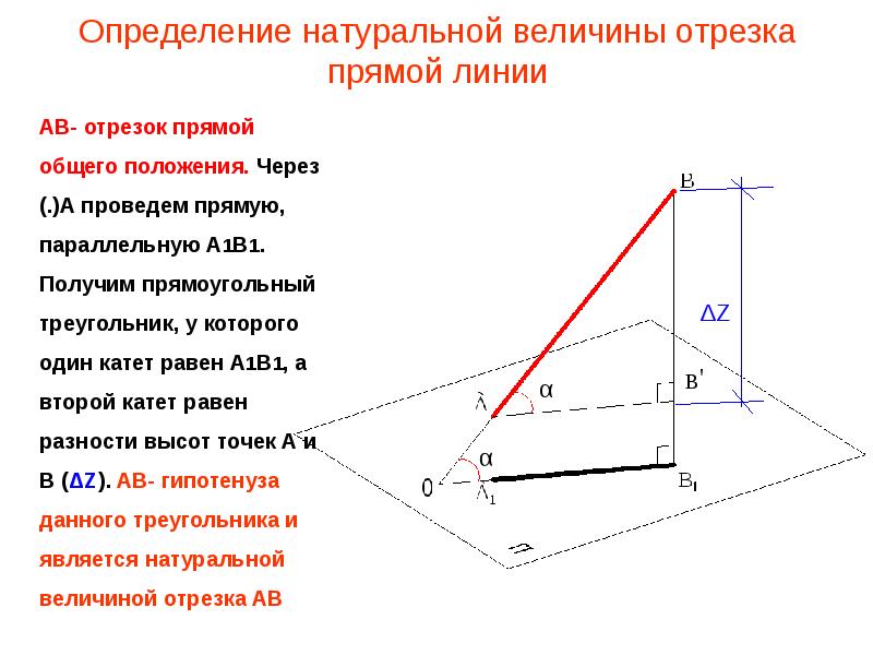 Отношение отрезков прямой. Определение натуральной величины отрезка прямой линии. Признак принадлежности точки прямой. Деление отрезка прямой в заданном отношении. Длина отрезка на прямой.