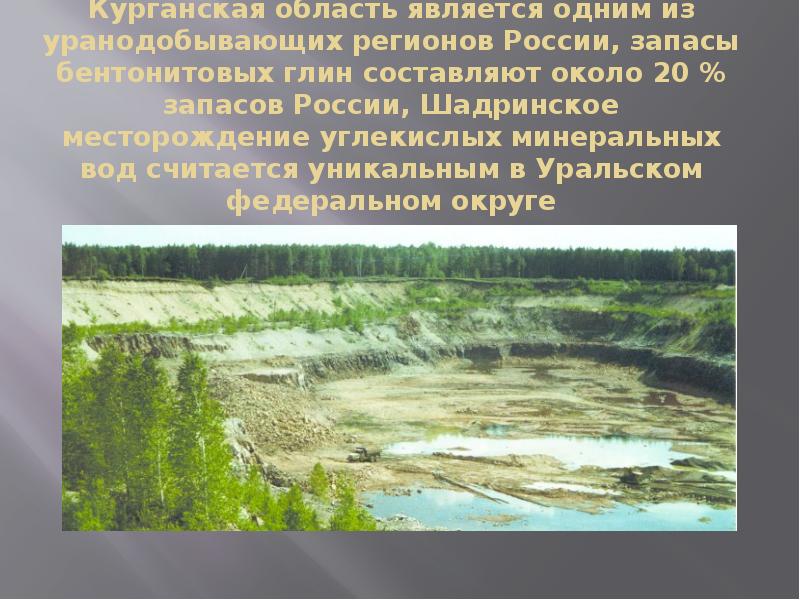 Полезные ископаемые в курганской области презентация