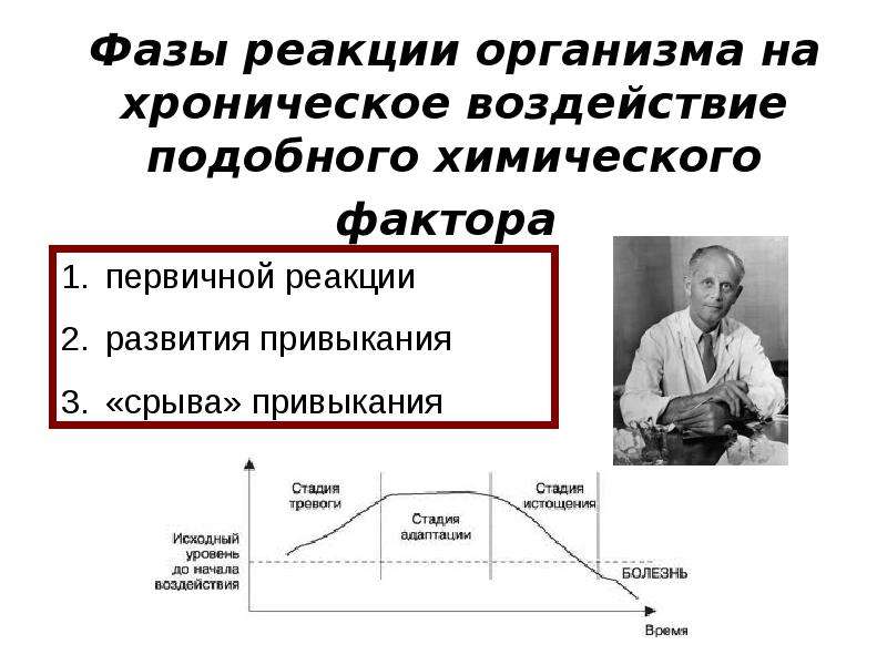 Развитие реакции. Фазовые реакции. Хроническое воздействие это. Три фазы реакции организма на холод. Реакции по фазе.