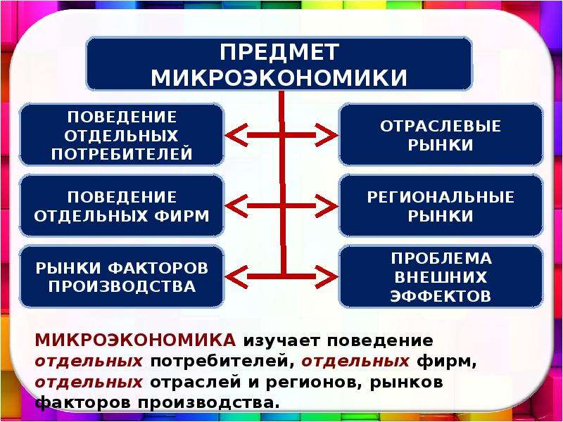 Экономика как наука изучает действие объективных. Модели человека в экономической науке. Сколько разделов в экономике.