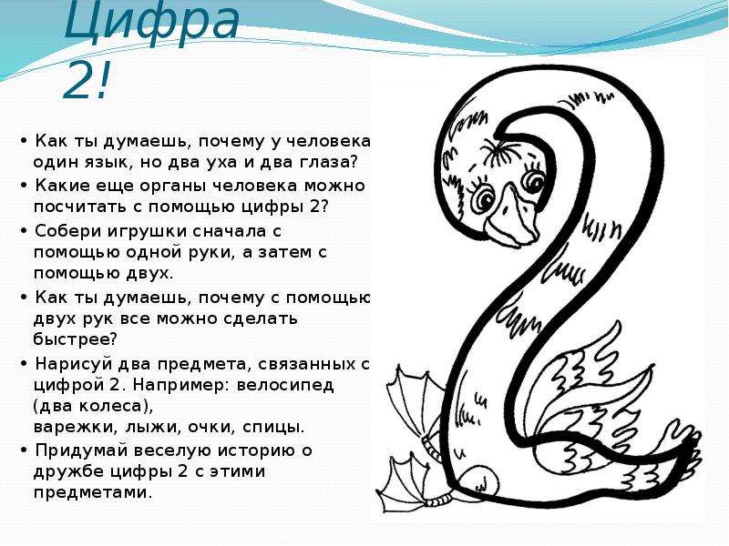 Поддержку под цифрой 2. Зачем человеку 2 уха. Два уха и один язык. У человека 2 уха два глаза и один язык. Цифра 2 два уха два глаза.