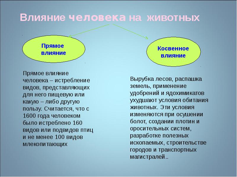 Влияние человека на растительный и животный мир презентация 11 класс