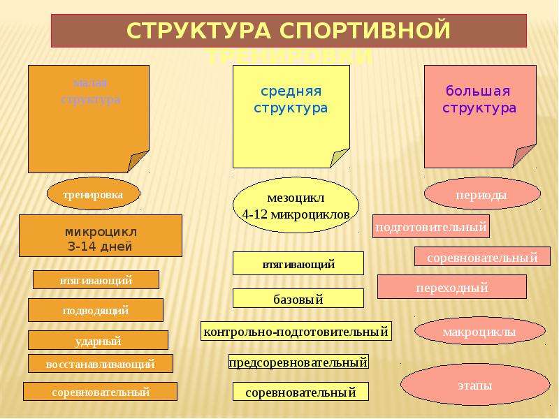 Структура упражнения. Структура тренировки. Структура спортивной тренировки. Иерархия упражнений. Структура спортивной тренировки таблица.