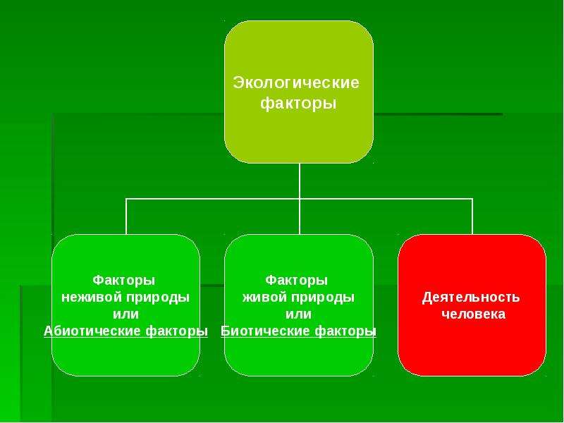 Презентация среды обитания организмов 5 класс по фгос пасечник