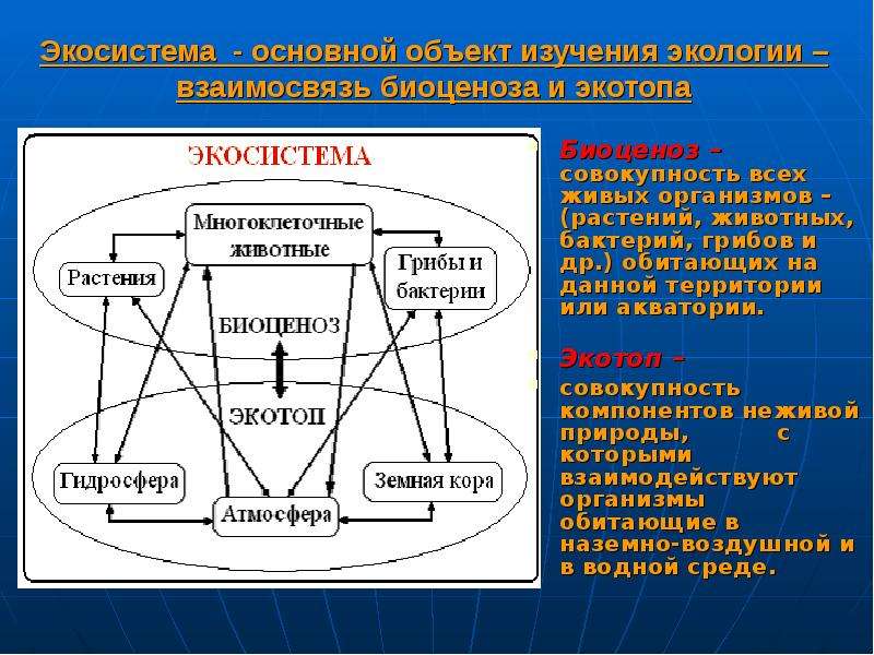 Экологическая доктрина презентация