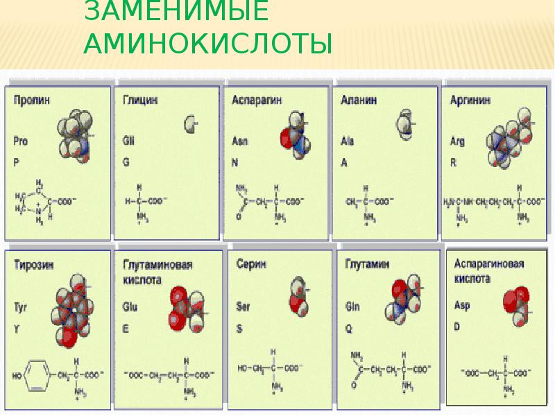 Тех карта аминокислоты