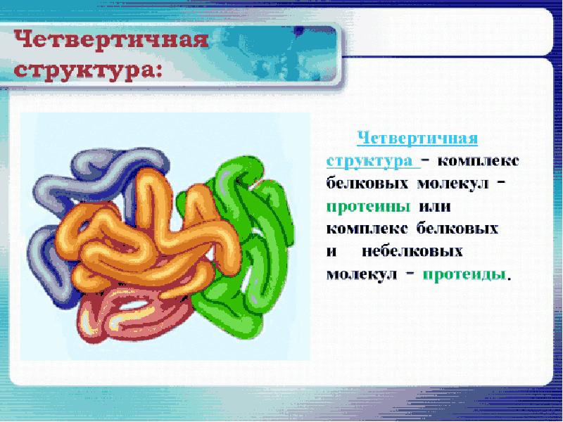 Четвертичные белки. Четвертичная структура белковой молекулы. Четвертичная структура. Четвертичная структура молекулы белка. Четвертичная структура комплекс.