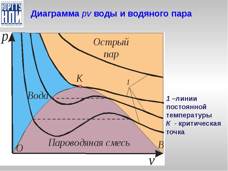 Термодинамика пар