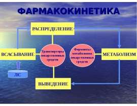 Фармакокинетика