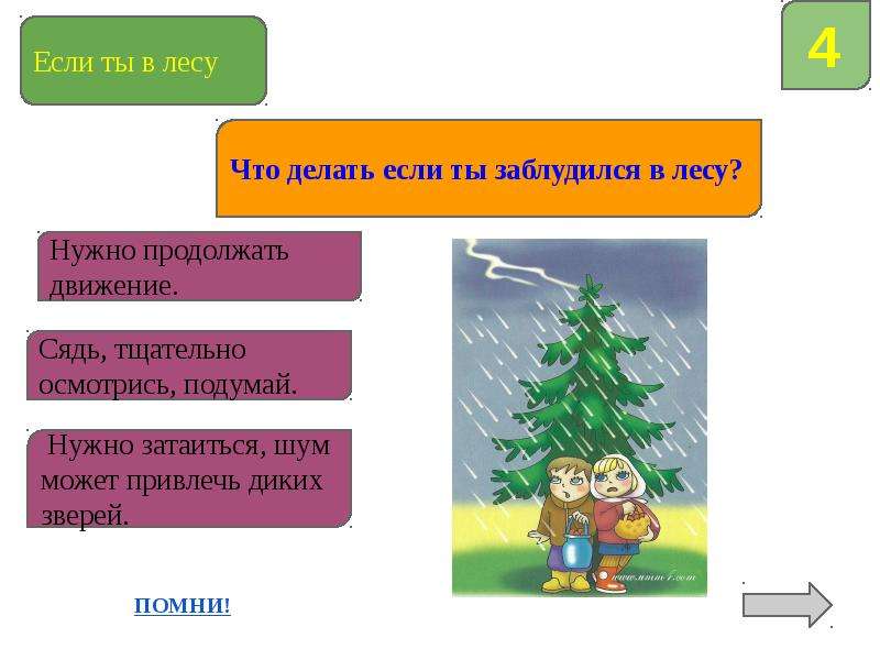 Интерактивная игра "Безопасное лето", слайд №15