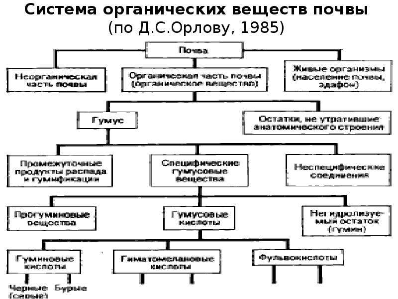 Почва содержащая органические соединения. Общая схема формирования органической части почвы. Система органических веществ почвы. Классификация органических веществ почвы. Классификация органических веществ по Орлову.