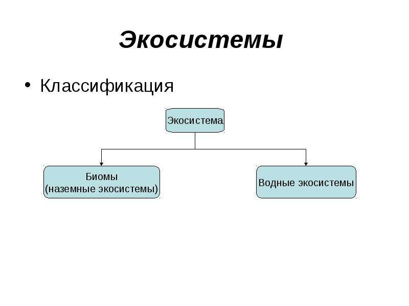 Чем водные биомы отличаются от наземных