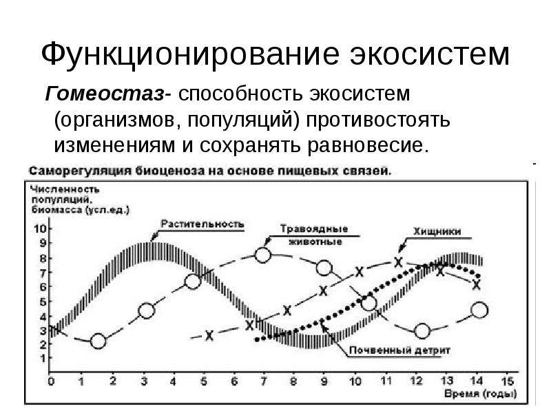 Итоговая конференция взаимосвязи организмов и окружающей среды 9 класс проект