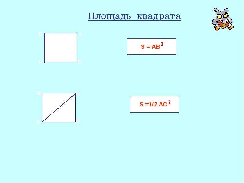 Площадь 25 квадратов