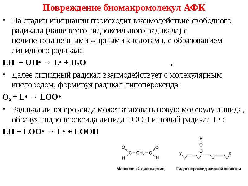 Составить схему участия усиленного перекисного окисления липидов в развитии патологии нейронов